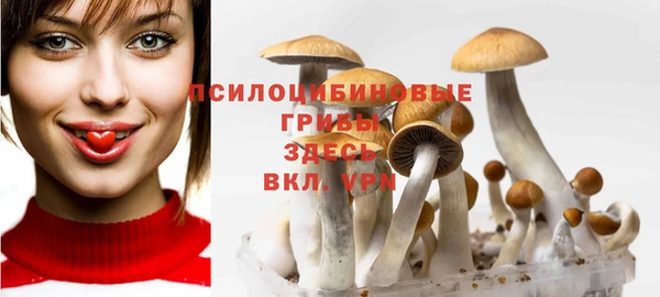COCAINE Горняк