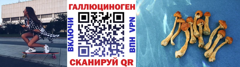 купить наркотик  Петропавловск-Камчатский  Псилоцибиновые грибы Cubensis 